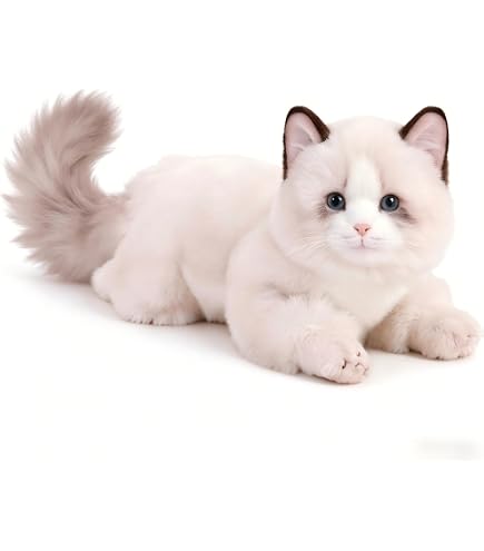 Amazon.co.jp: 劇団四季 キャッツCats ぬいぐるみ 5点セット